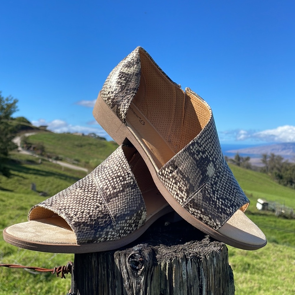 The Baretraps Casual Sedina Snake Wrap Peep Toe Slip on Sandal NWOB 10